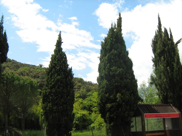 vatertag05-10 039.jpg